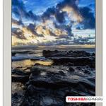 Ремонт Ремонт и замена деталей планшета Toshiba dynaPad WT12PE-A64